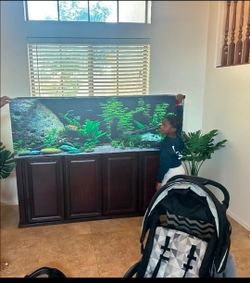 120-gal fish-tank