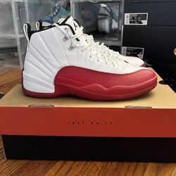 2023 Air Jordan 12 Cherry size 10