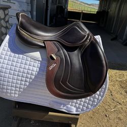 Cwd Mademoiselle 2Gs saddle, like new condition!
