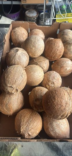 Coconuts peeled