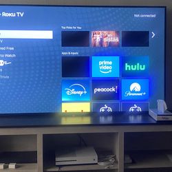 65 inch tv /remote