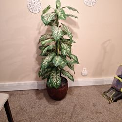 Decorative Tree PLANT