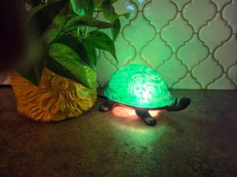 Turtle Night Light Accent Lamp