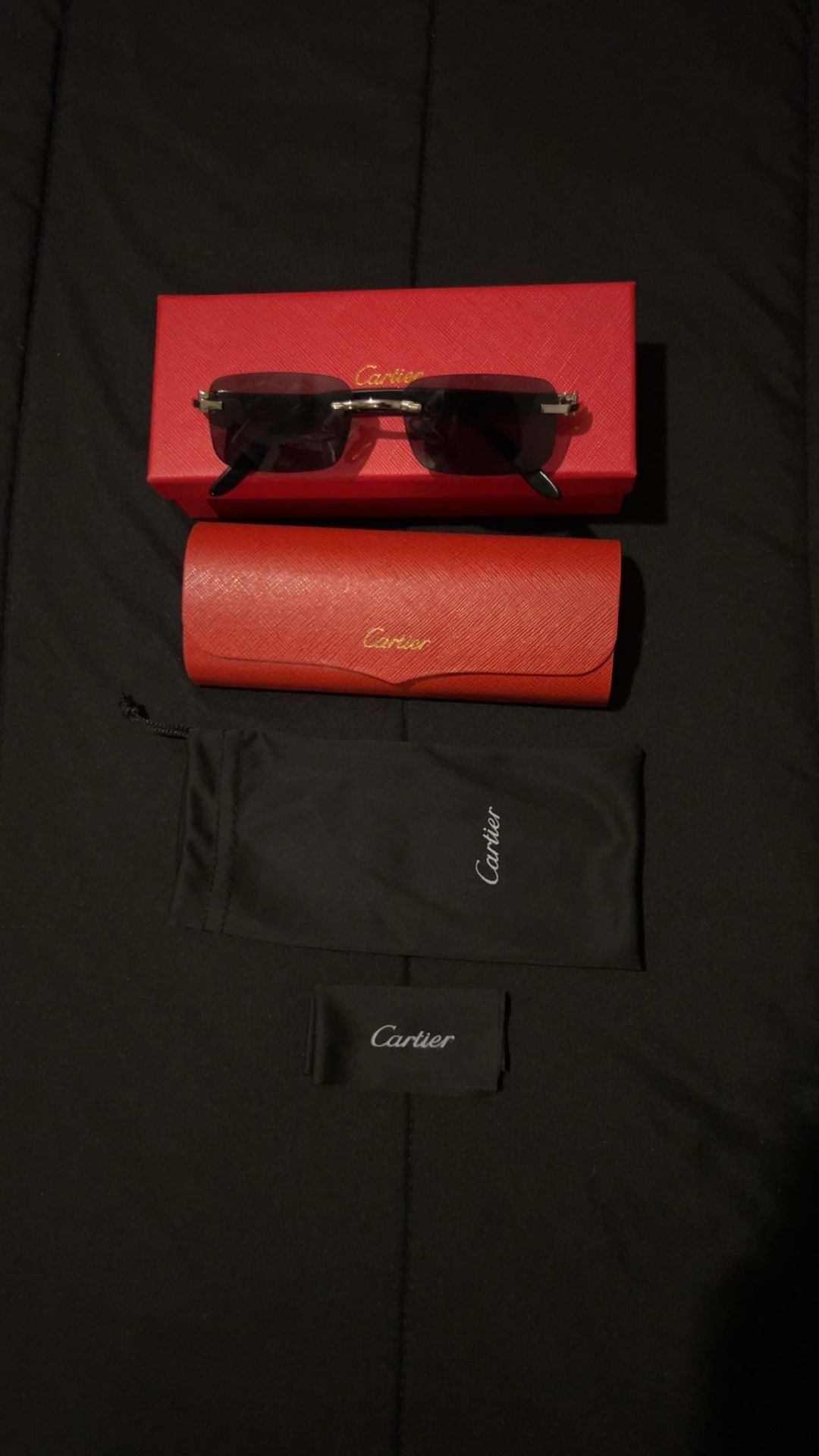 Cartier Sunglasses (Black/Silver) (Black lens)
