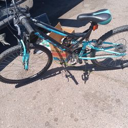 Huffy Mountain Bike 