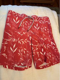 Men’s Bathing Suit