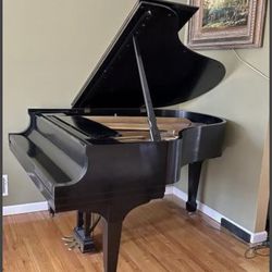 Steinway Grand Piano Rent To Own