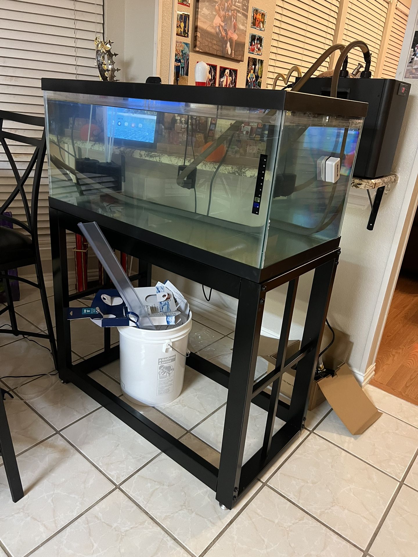 50 Gallon Fish Tank With Stand Chiller And Pump