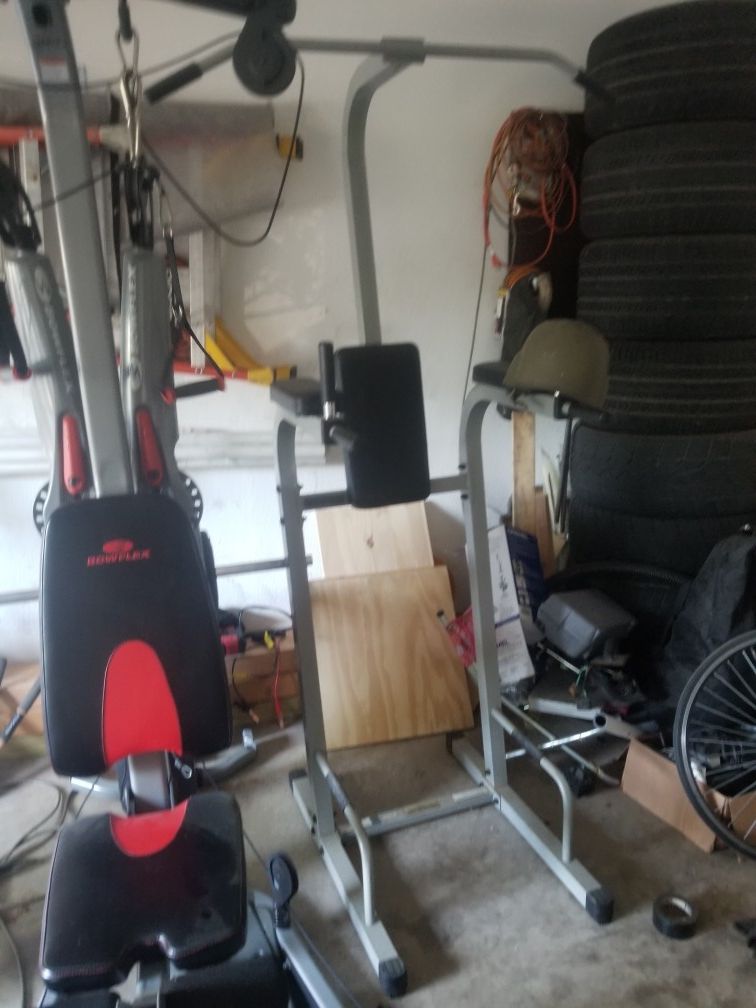 Bowflex Revolution Bowflex 360 Bowflex Revolution Gym Set (All In One)
