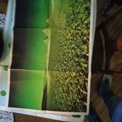 1973 Pink Floyd Posters