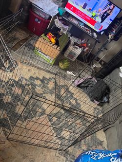 Dog playpen