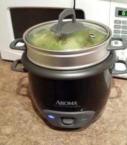 Pot style rice cooker