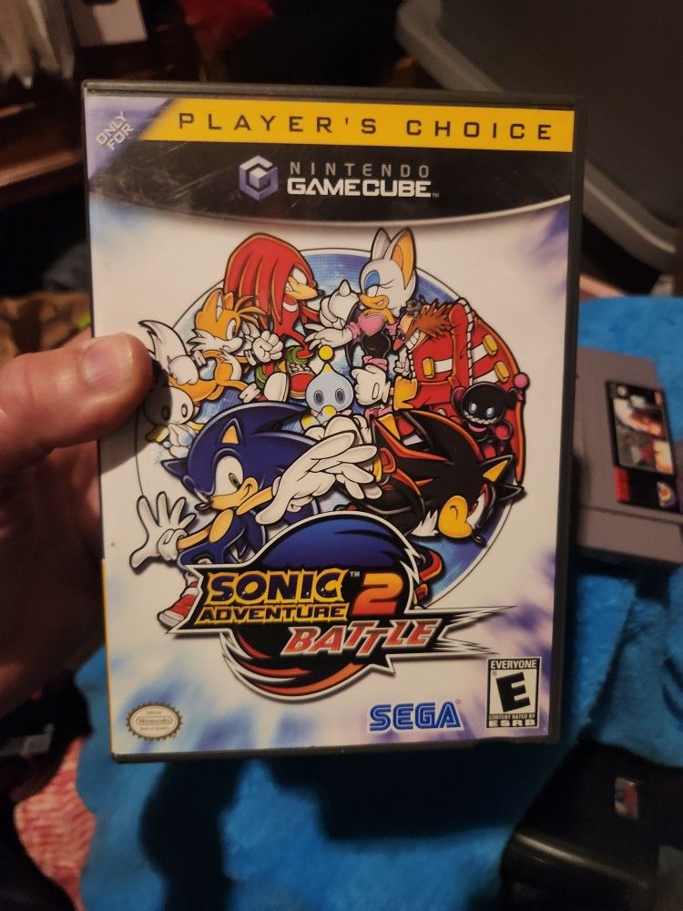 Nintendo Game Cube Game