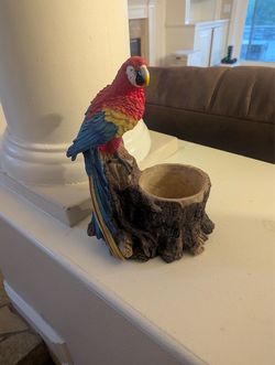 Parrot pot
