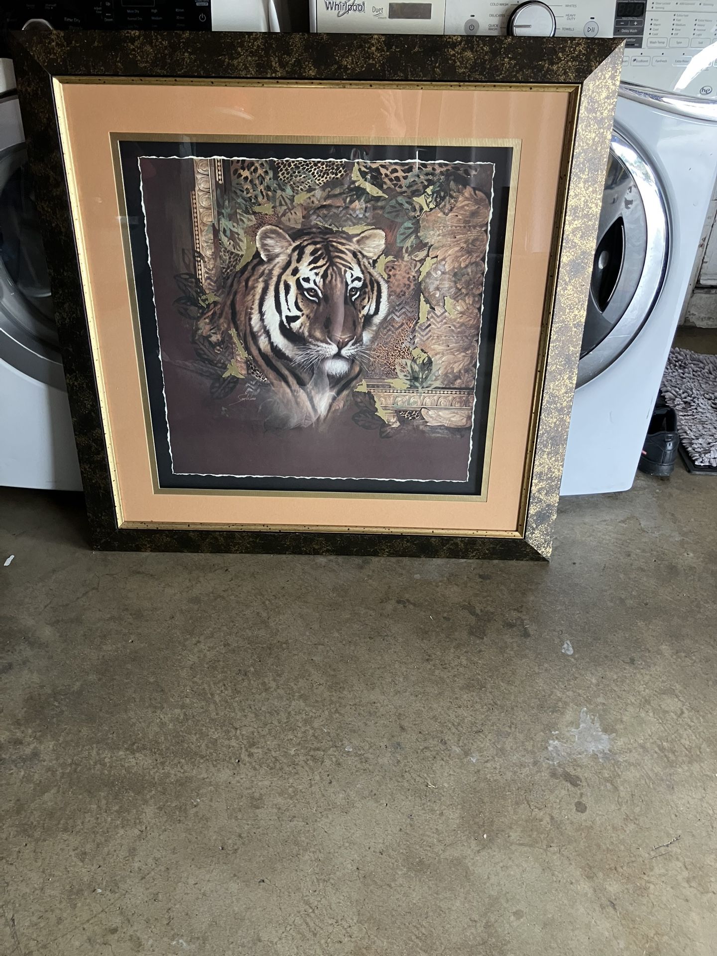 Cuadro De Tigre