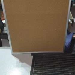 Free Cork Pin Board