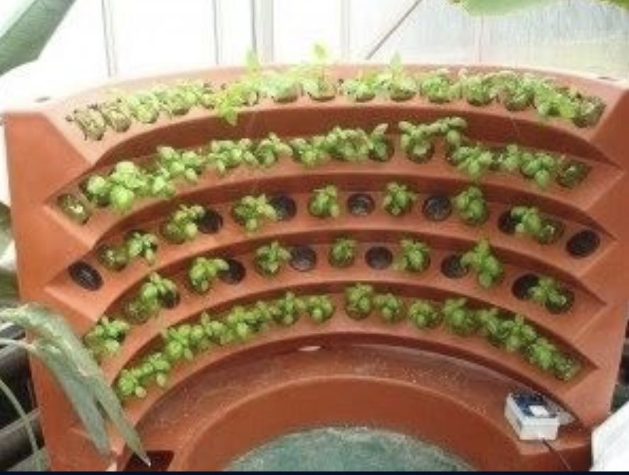 Hydroponic Vertical Growth System