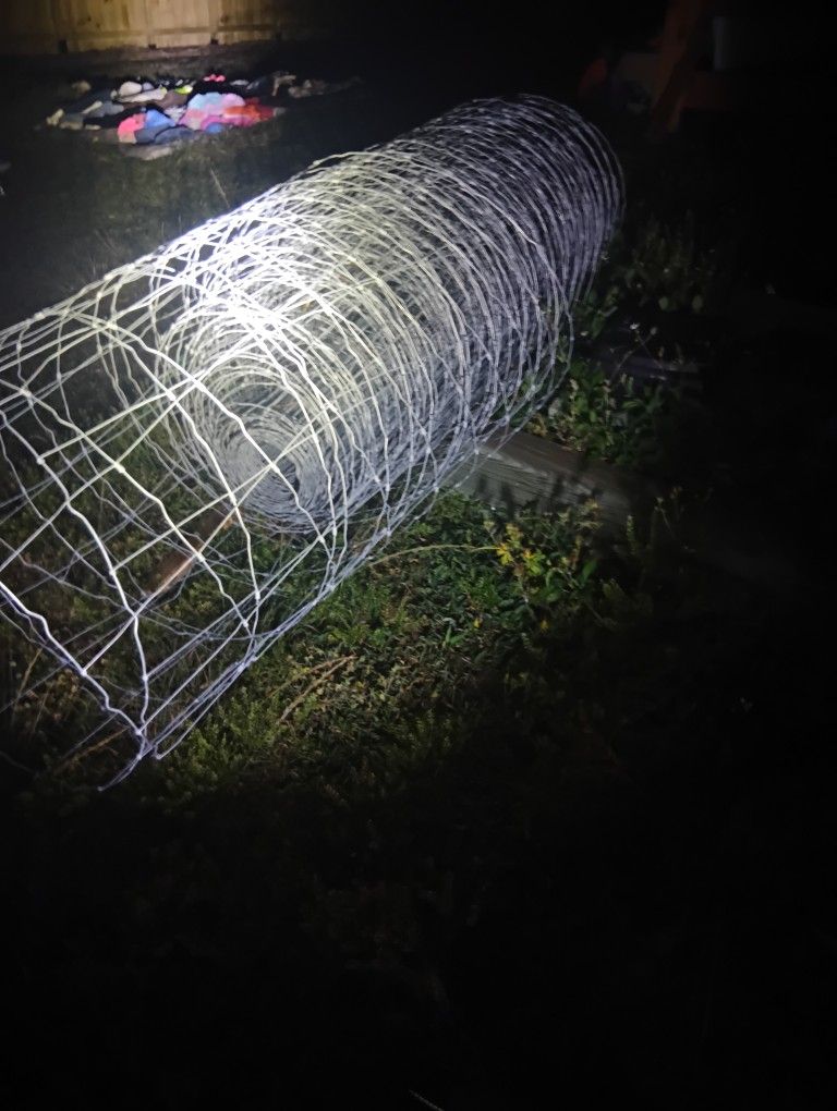 Wire Fencing