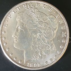 Morgan Dollar 1895 S