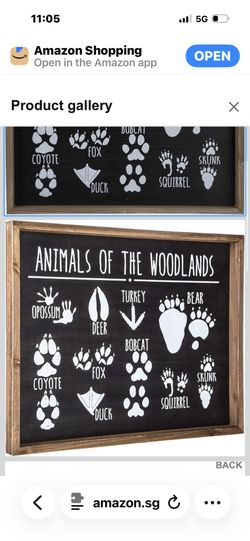 Animals Of The Woodlands Baby Nursery Boy Room Adventure Decor