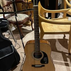 Epiphone Accoutis Guitar , Model DR-100NA