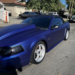 Wrap And Tint 