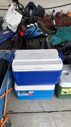 40 qt igloo