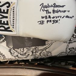 Signed Boxing Gloves