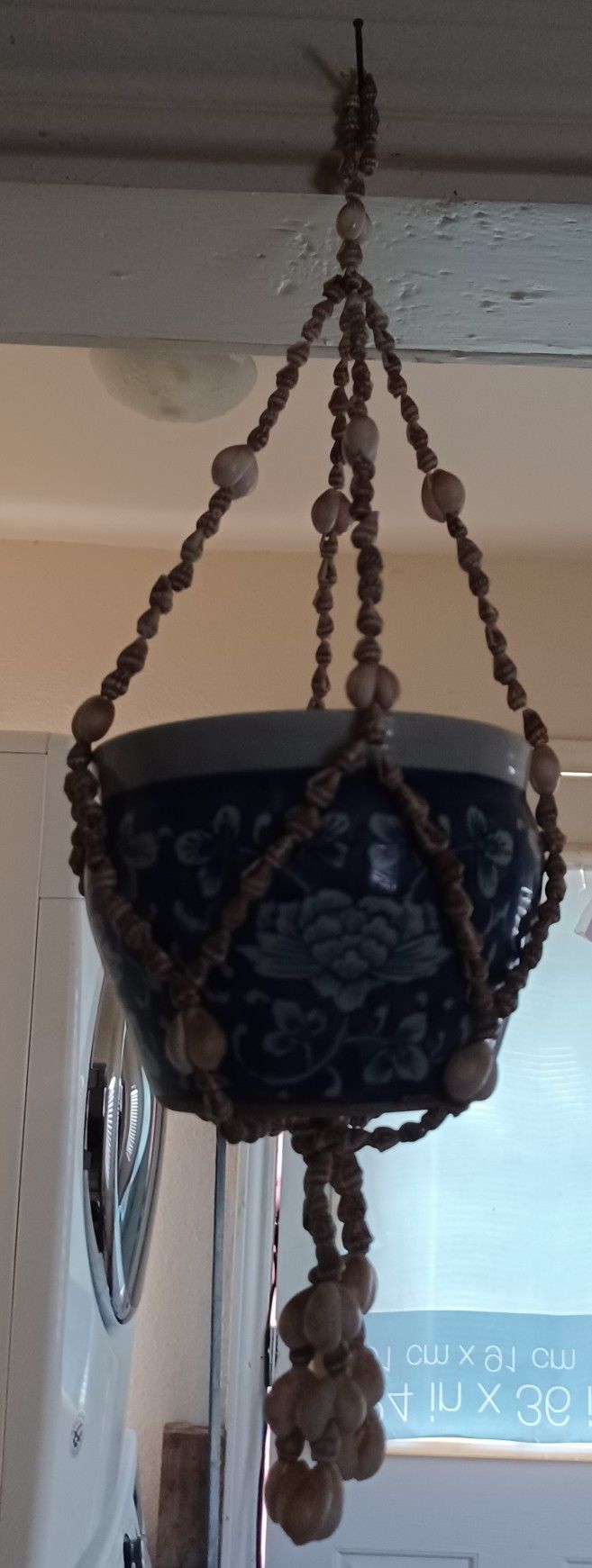 Sea Shell Plant Holder