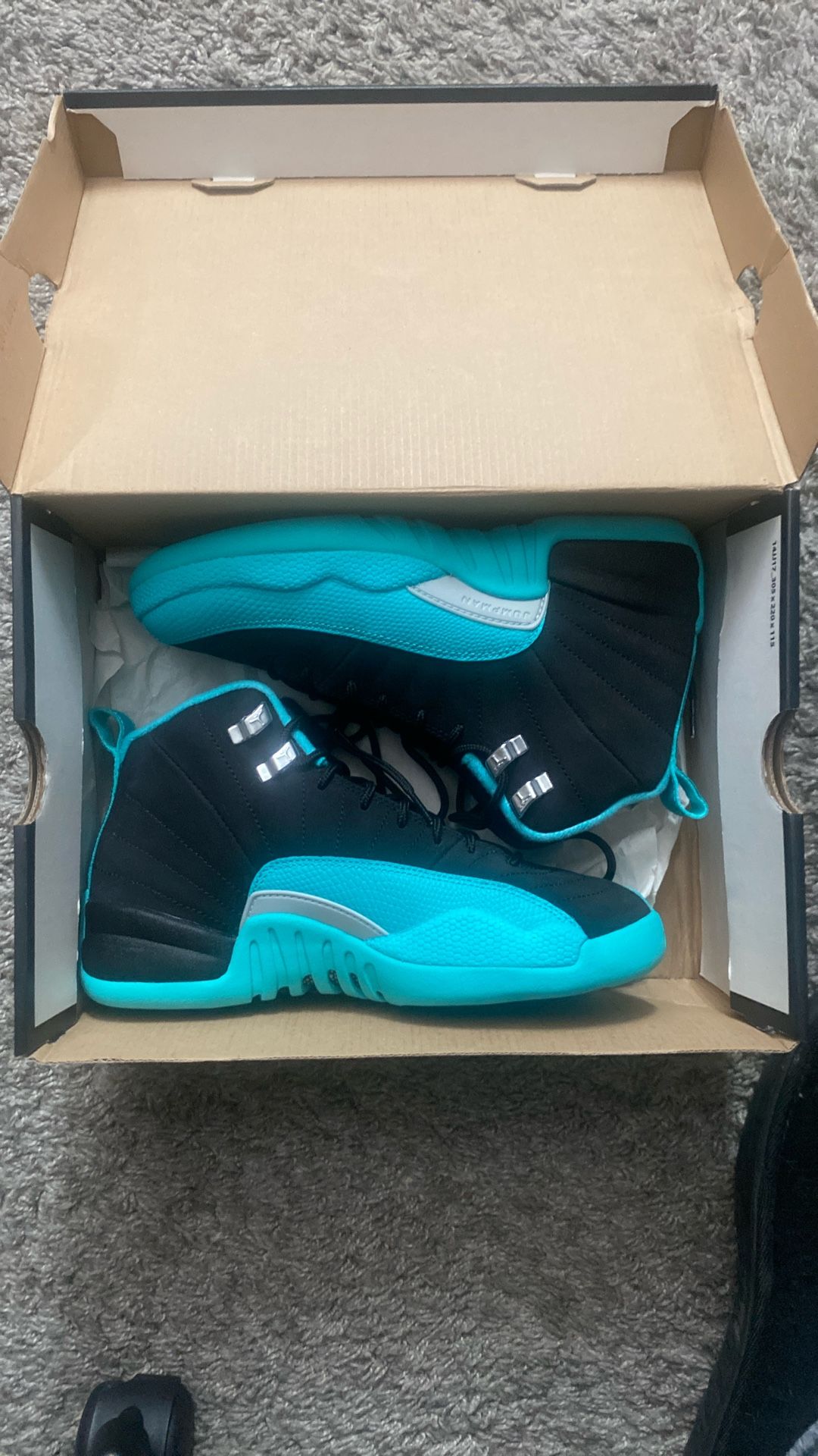 Air Jordan 12 Retro GG