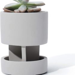 Planter Pot