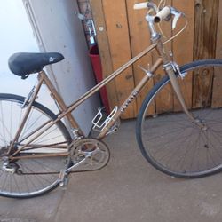 Follis 10 Speed Bicycle 
