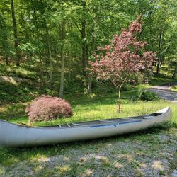 17 Foot Grumman Canoe