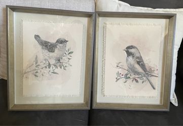 Set of 2 Framed Bird Watercolor Prints