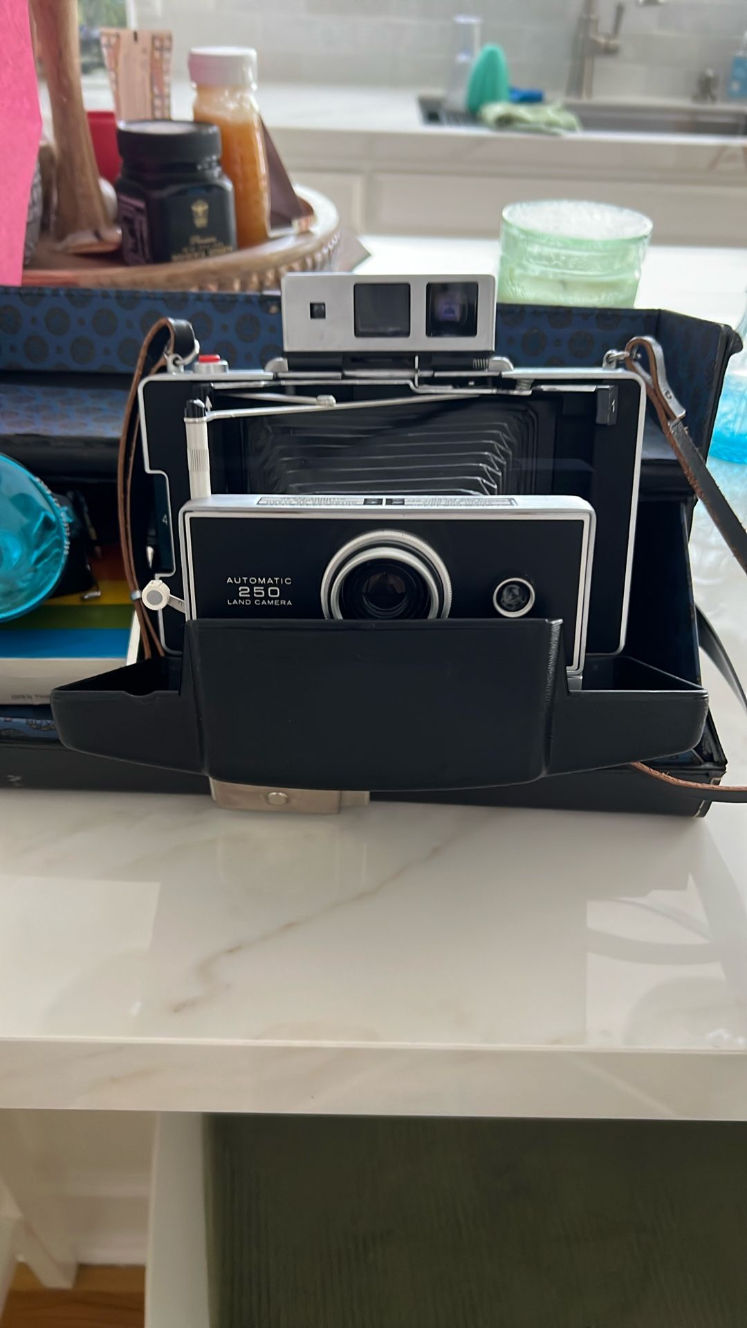 Polaroid 250 Land Camera