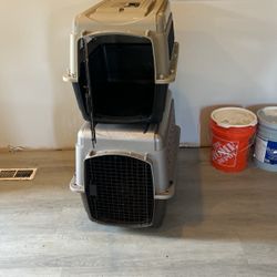 2 Dog Kennels