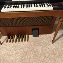 Organ For Free
