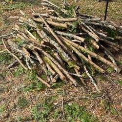 Free firewood