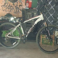 Rivel Schwinn
