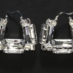  Iamdoyleyboutique Color, Crystal Silver Crystal Hoop Earrings 