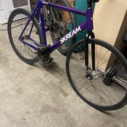 Skream Magnum 22