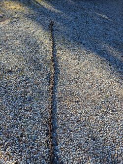 Heavy Duty Metal Chain with Hook