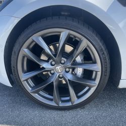 Tesla Performance Wheels