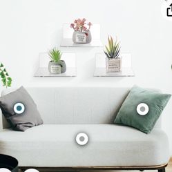 Set Of 12 Acrylic Shelves New In Box Display Shelf 