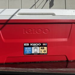 Iqloo 48 Quart Cooler 