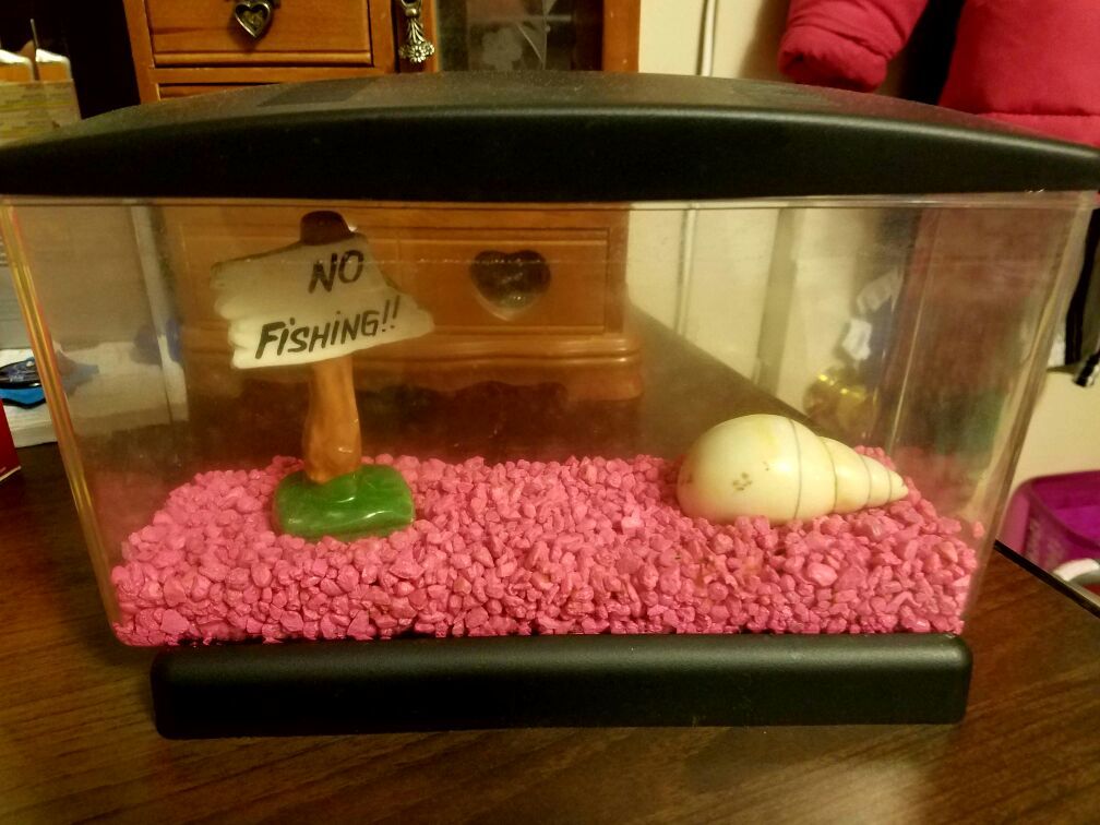 Betta Fish Tank