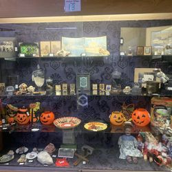 Oddities & Curiosities Booth In San Marcos | Vintage Halloween | Gothic | Taxidermy