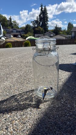 Mason jar for lemonade