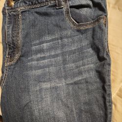 Lane Bryant Women's Jeans 