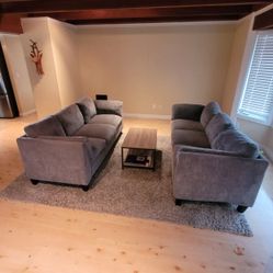 Free Couches And Rug 